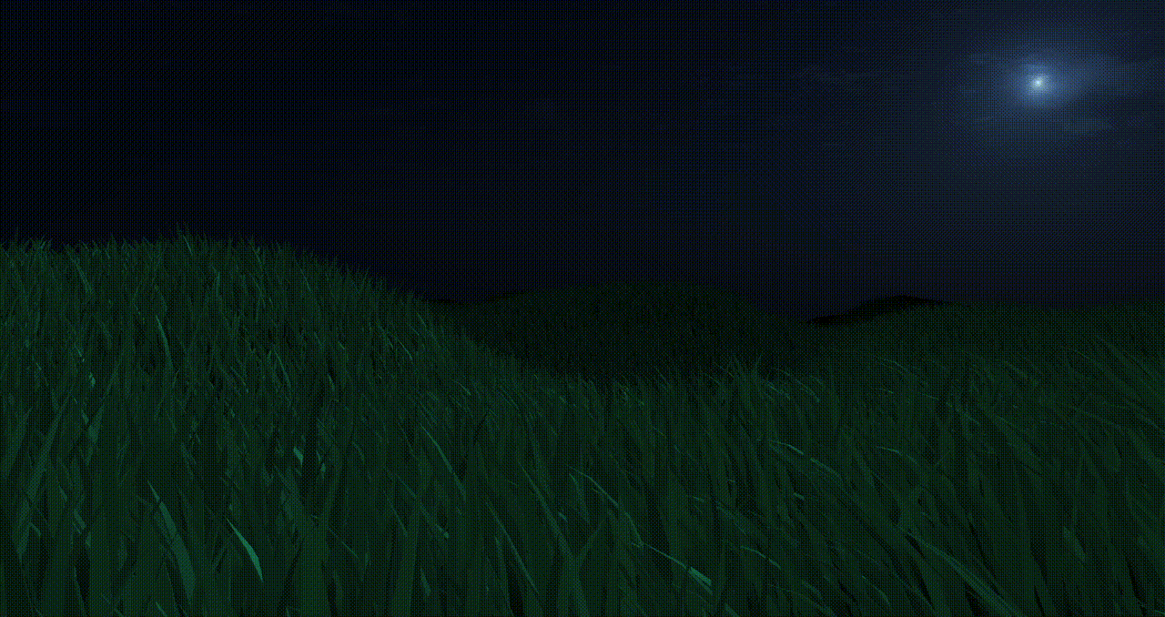 PROCEDURAL GRASSY FIELD SIMULATION